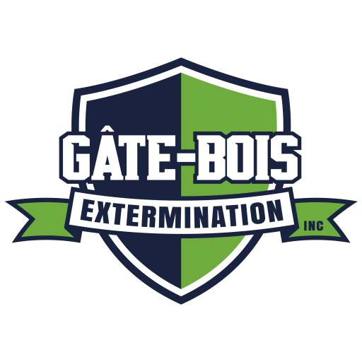 logo 2026